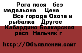 Рога лося , без медальона. › Цена ­ 15 000 - Все города Охота и рыбалка » Другое   . Кабардино-Балкарская респ.,Нальчик г.